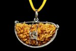 1 Mukhi Indian Rudraksha Small - Image 2